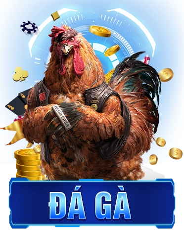 đá gà 8s